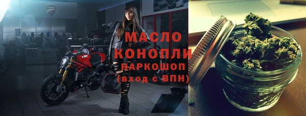 твердый Гусев