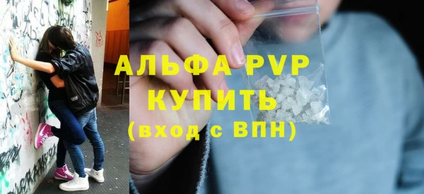 твердый Гусев