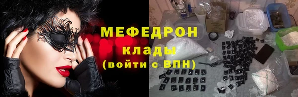 твердый Гусев
