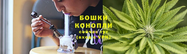 твердый Гусев