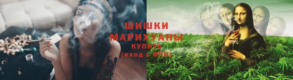 твердый Гусев