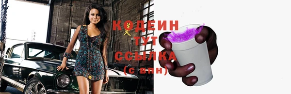 твердый Гусев