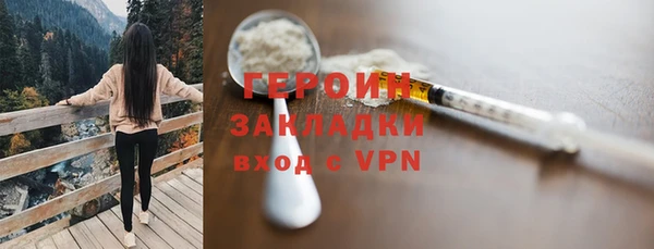 твердый Гусев