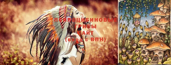 твердый Гусев