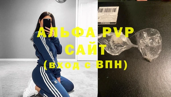 твердый Гусев