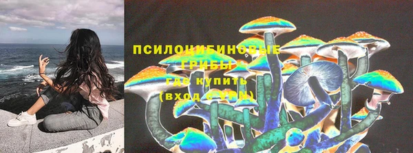 герыч Гусь-Хрустальный