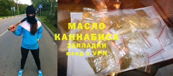 твердый Гусев