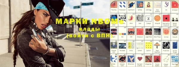 твердый Гусев